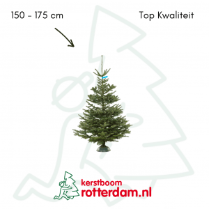 kerstboom Nordmann