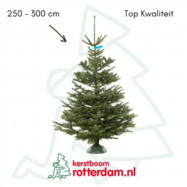 kerstboom Nordmann
